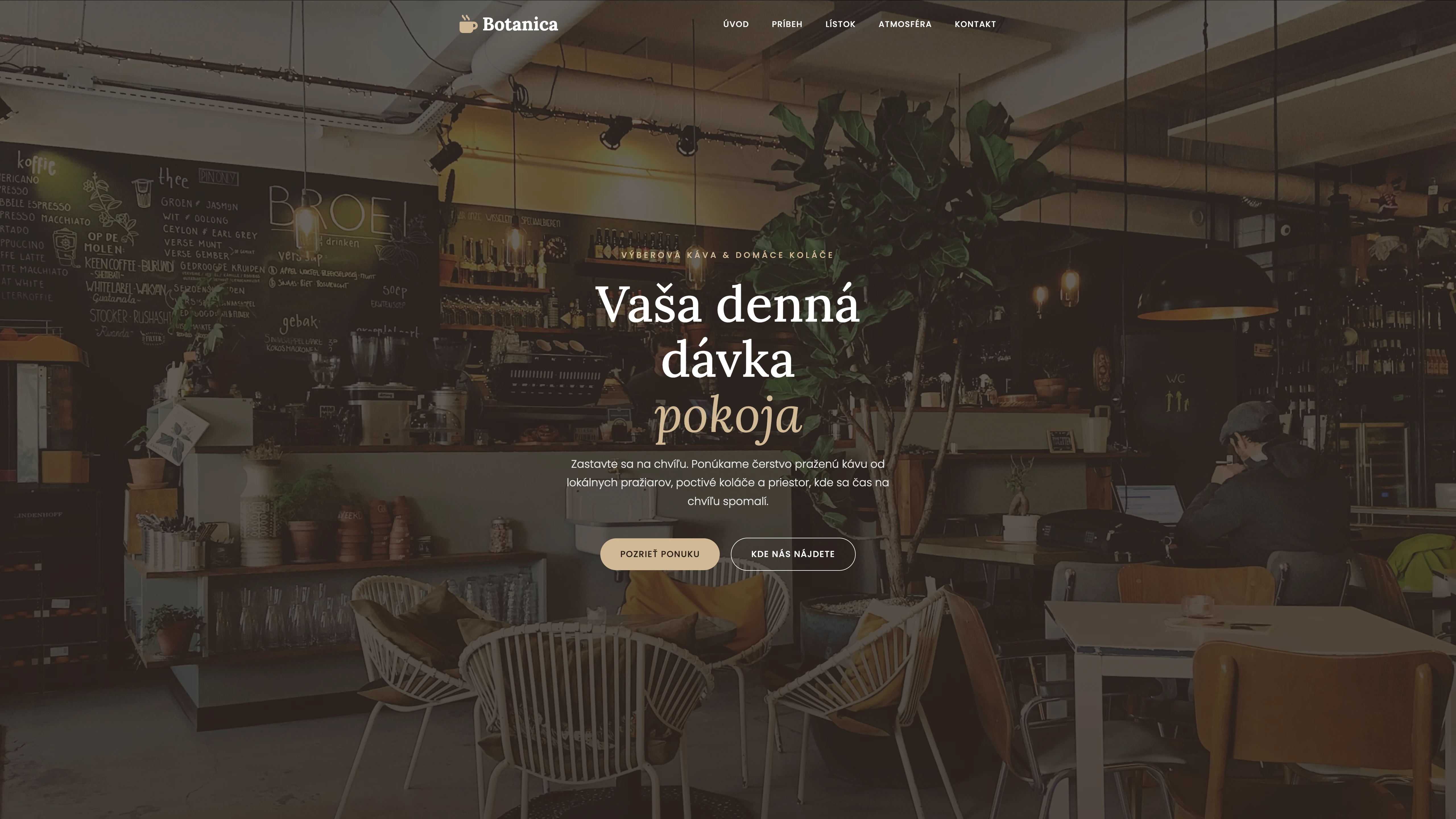 Náhľad webu