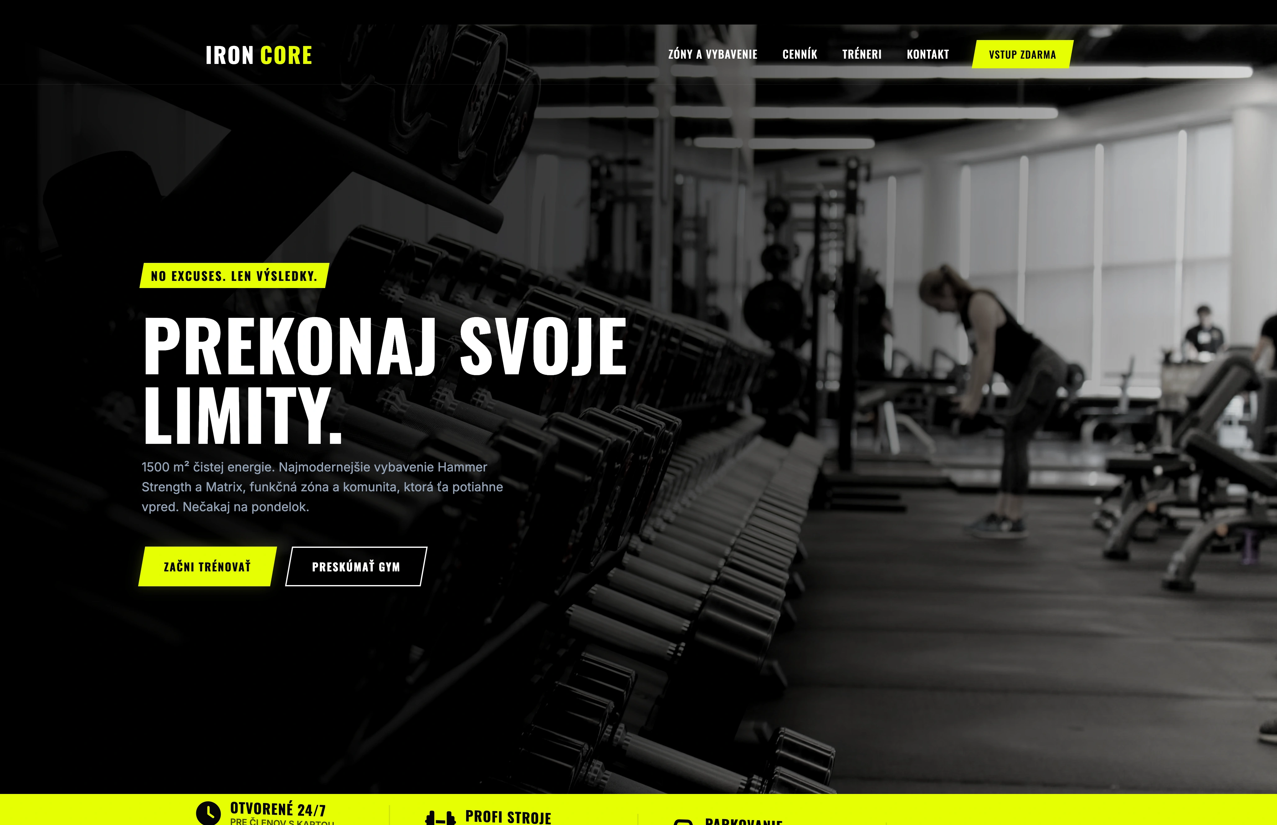 Náhľad webu