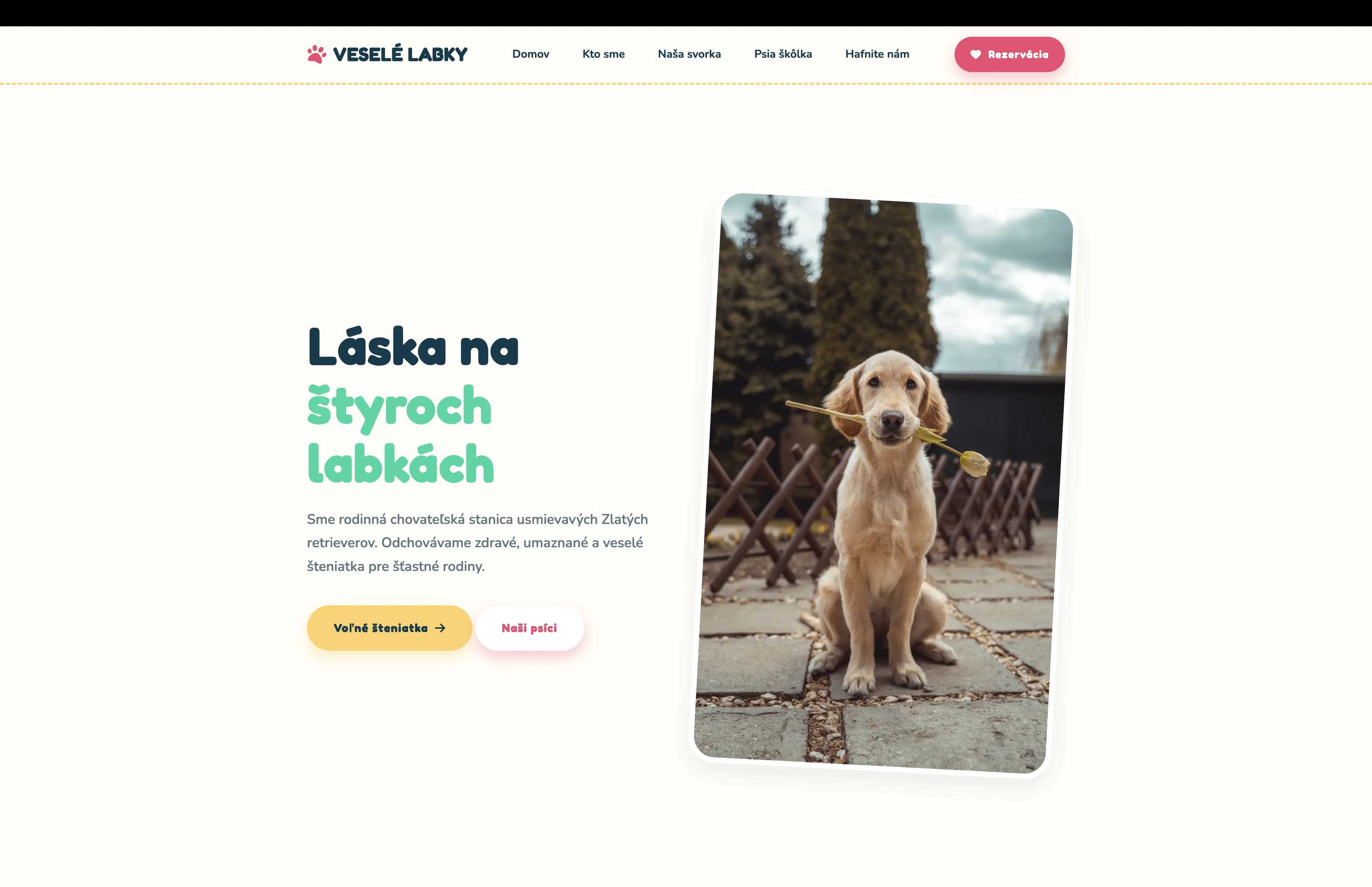 Náhľad webu